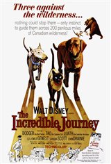 The Incredible Journey Movie Poster