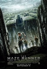 The Maze Runner Large Poster