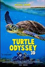 Turtle Odyssey: An IMAX 3D Experience Large Poster