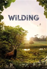 Wilding Movie Poster