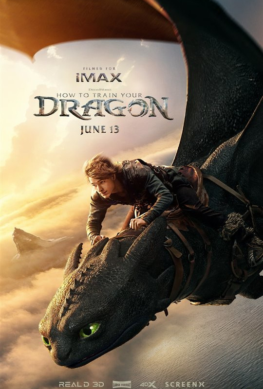 How to Train Your Dragon Movie Poster