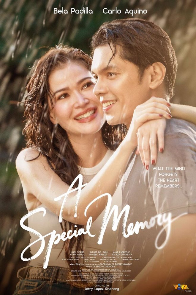 A Special Memory Large Poster
