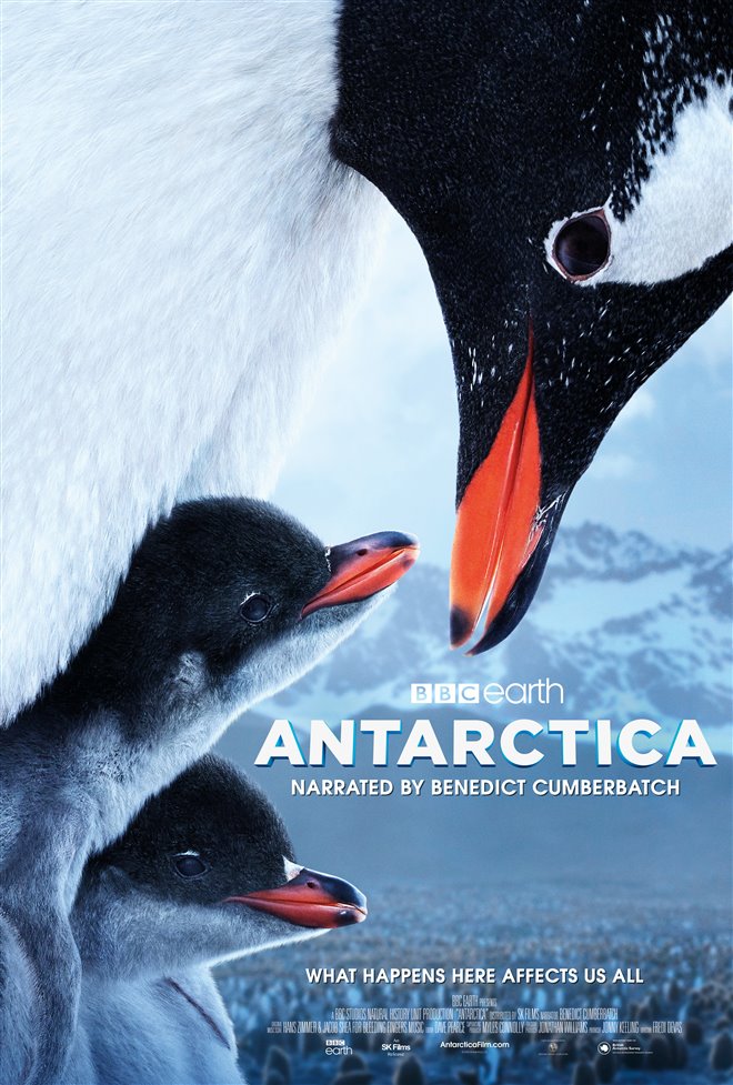 Antarctica Large Poster