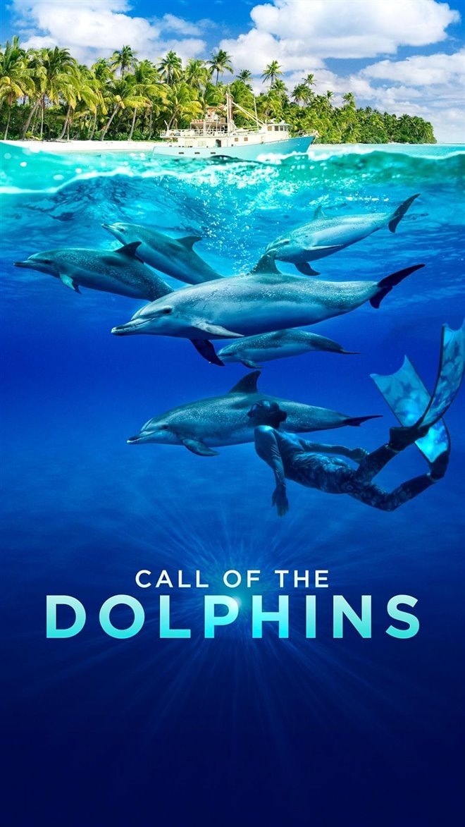 Call of the Dolphins Large Poster
