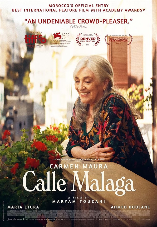 Calle Málaga Large Poster