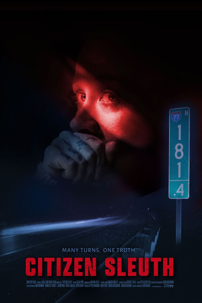 Citizen Sleuth Large Poster