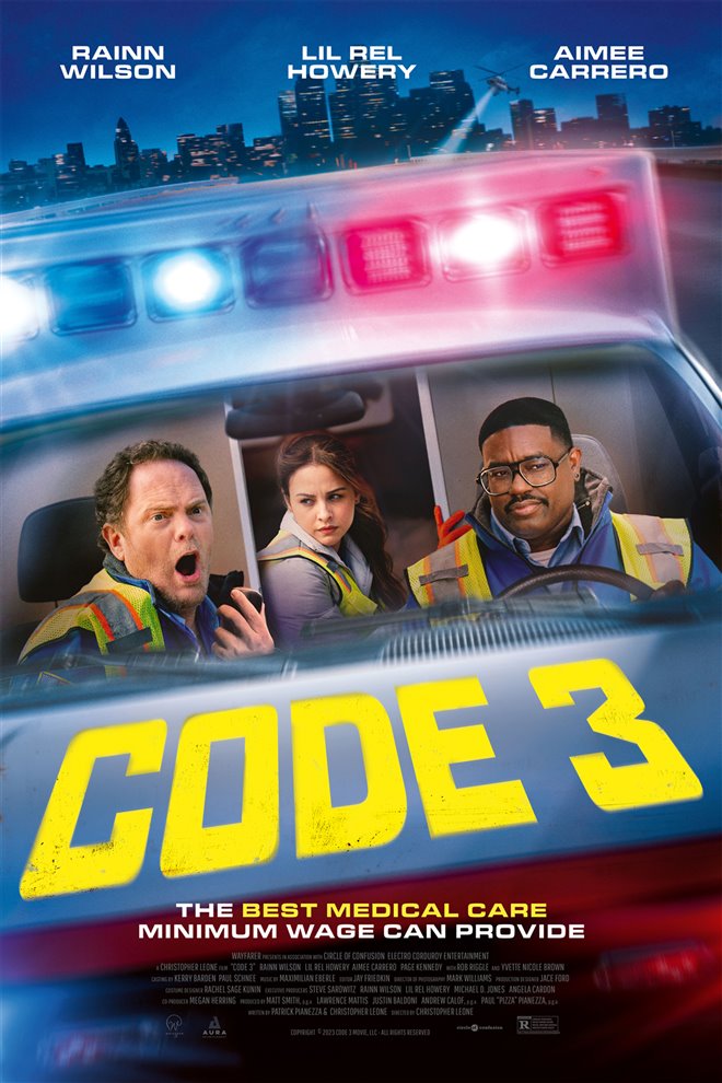 Code 3 Large Poster