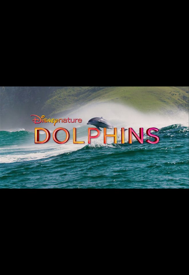 Dolphins Large Poster