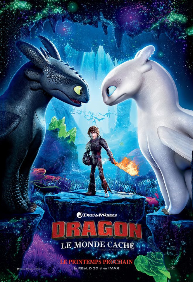 Dragons : Le monde caché Large Poster