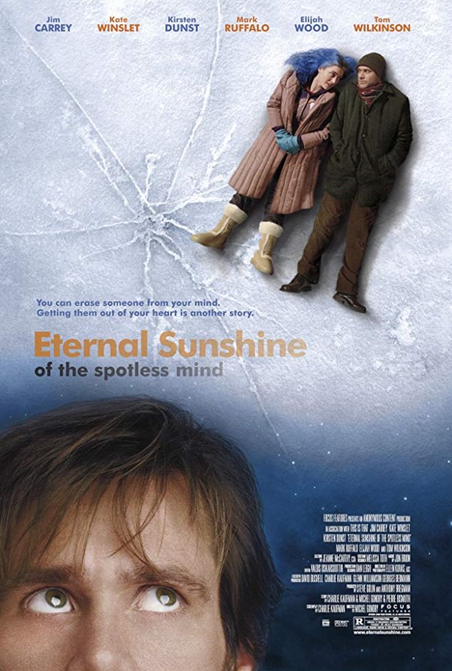 Eternal Sunshine of the Spotless Mind Large Poster