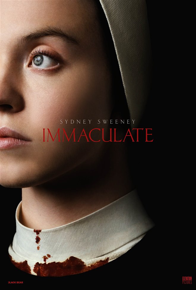 Immaculate Large Poster
