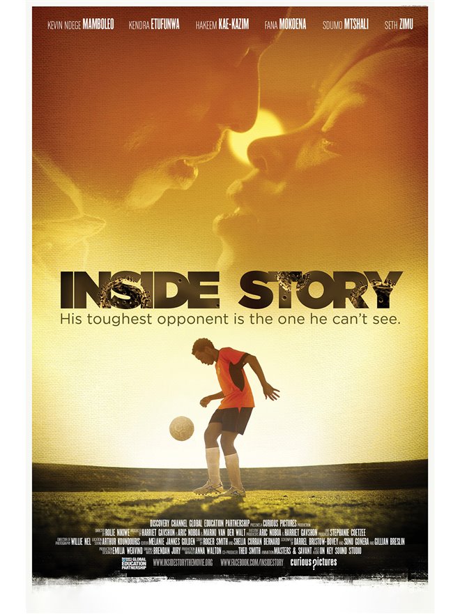 Inside Story Large Poster