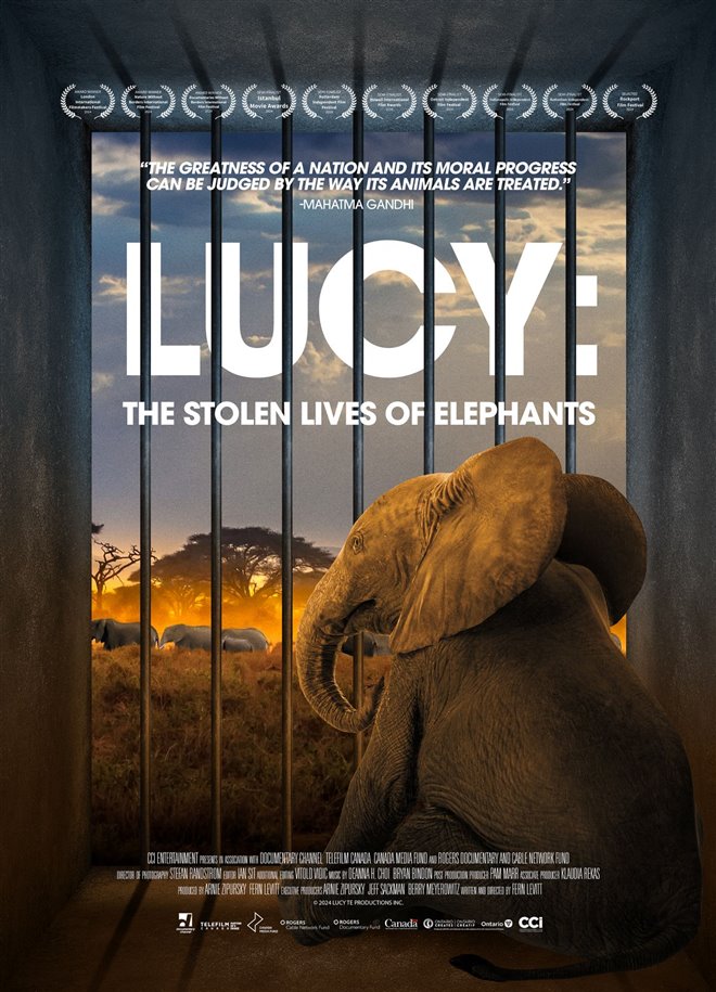 Lucy: The Stolen Lives of Elephants Large Poster
