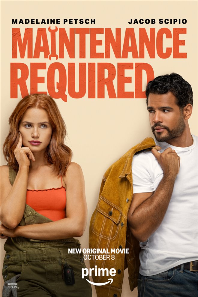 Maintenance Required Large Poster