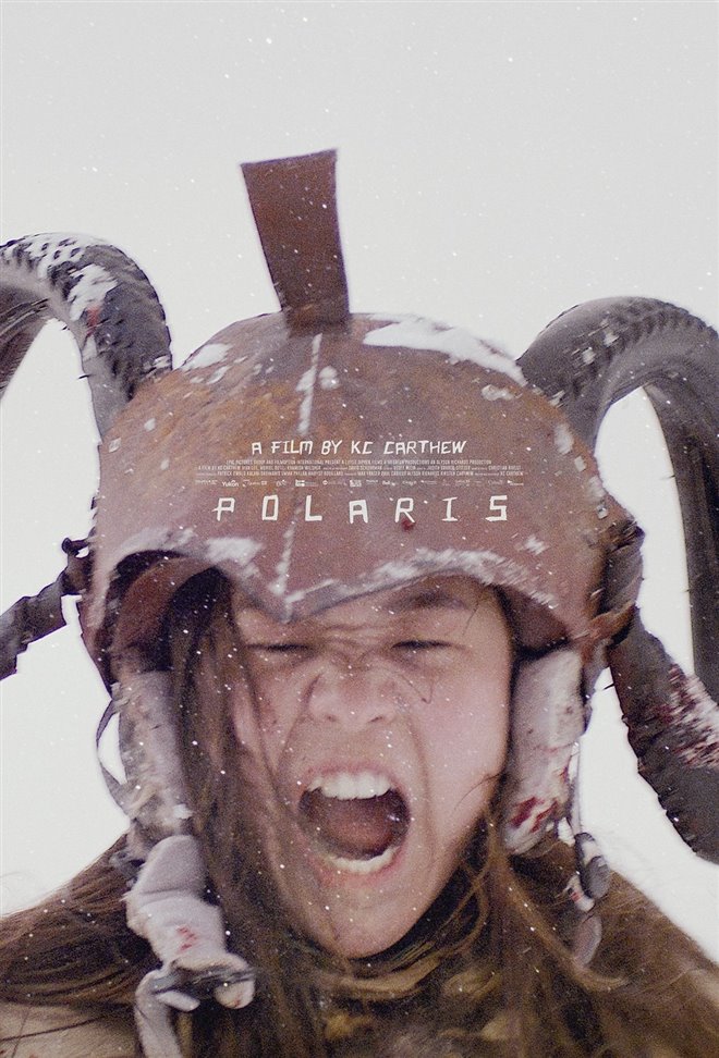 Polaris Large Poster