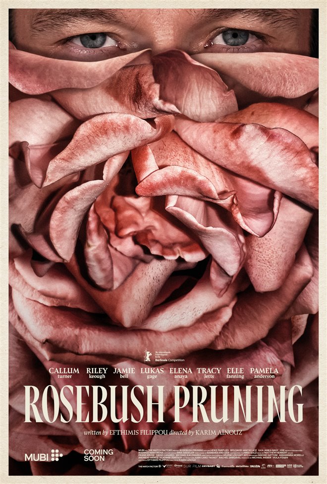 Rosebush Pruning Large Poster