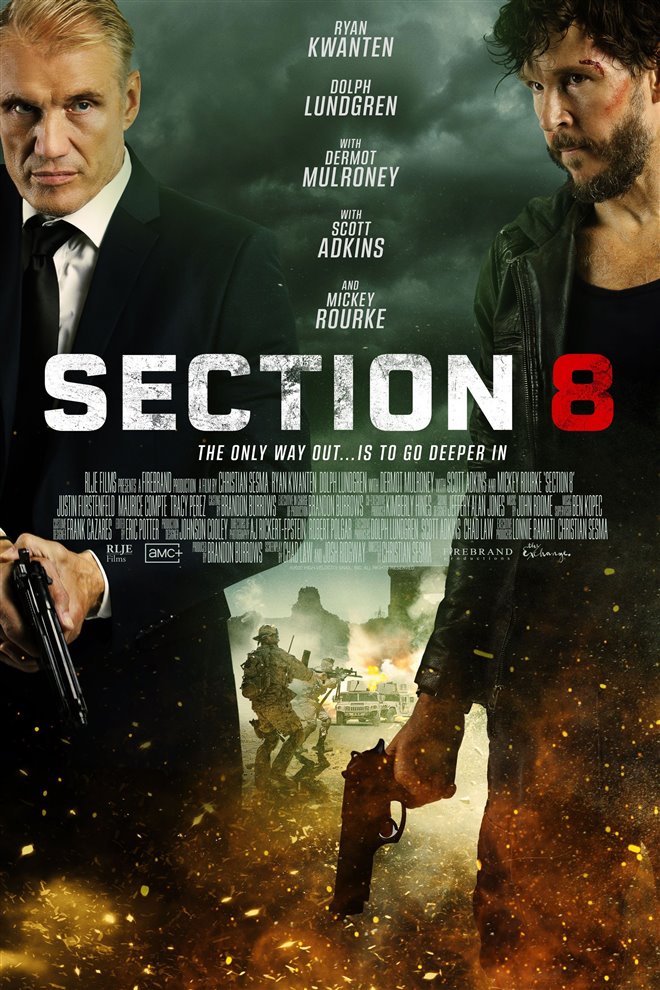 Section 8 Large Poster