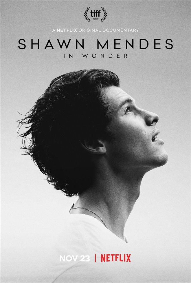 Shawn Mendes: In Wonder (Netflix) Large Poster