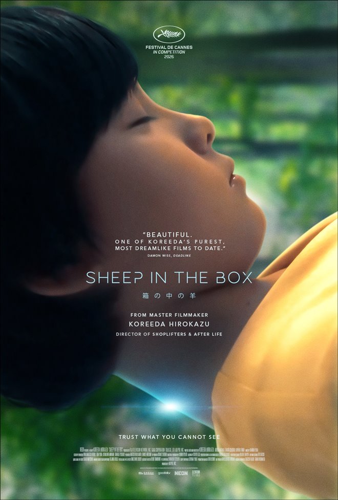 Sheep in the Box Large Poster