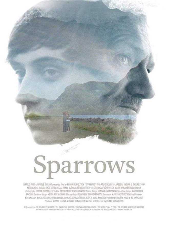 Sparrows Large Poster
