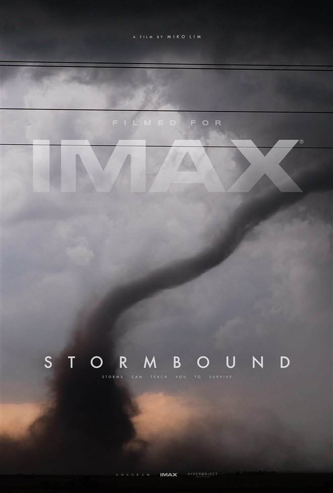 Stormbound Large Poster