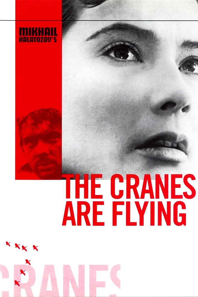 The Cranes Are Flying Large Poster