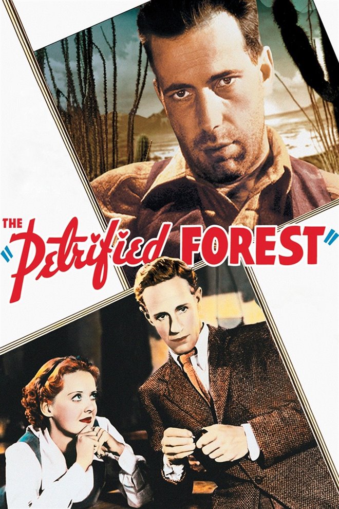 The Petrified Forest (1936) Large Poster