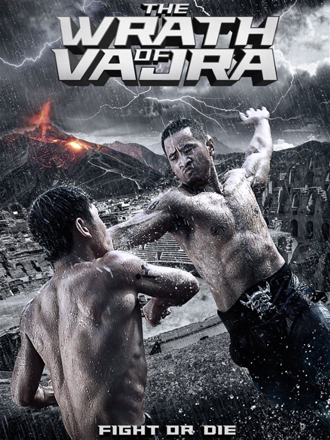 The Wrath Of Vajra (Jin Gang Wang) Large Poster