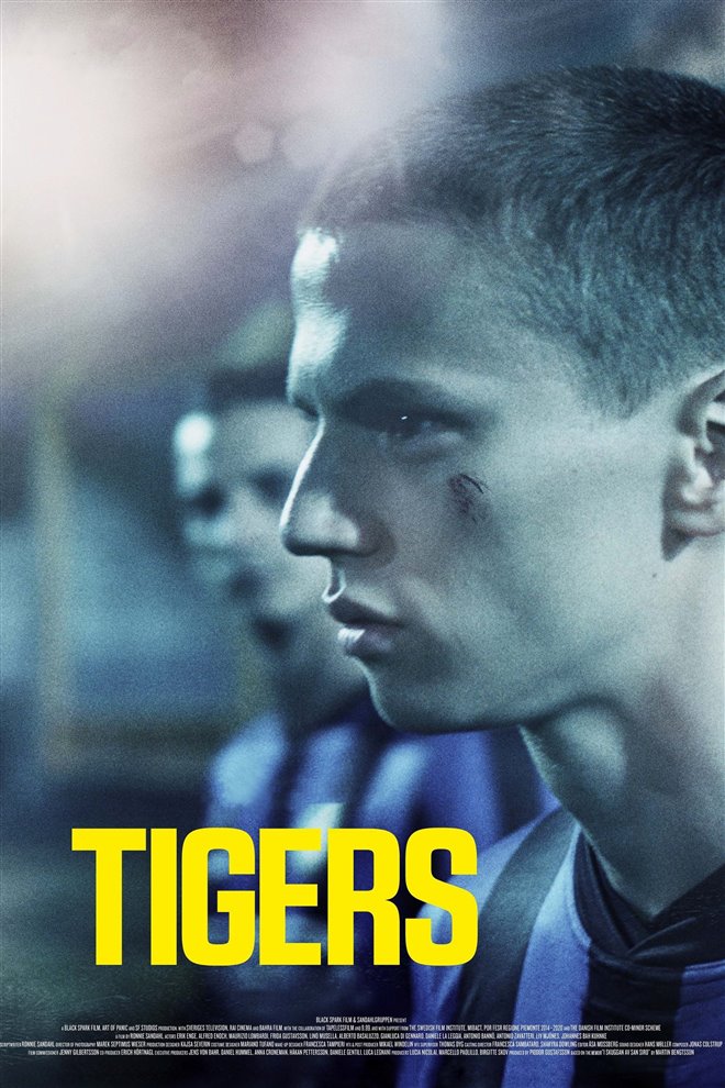 Tigers Large Poster