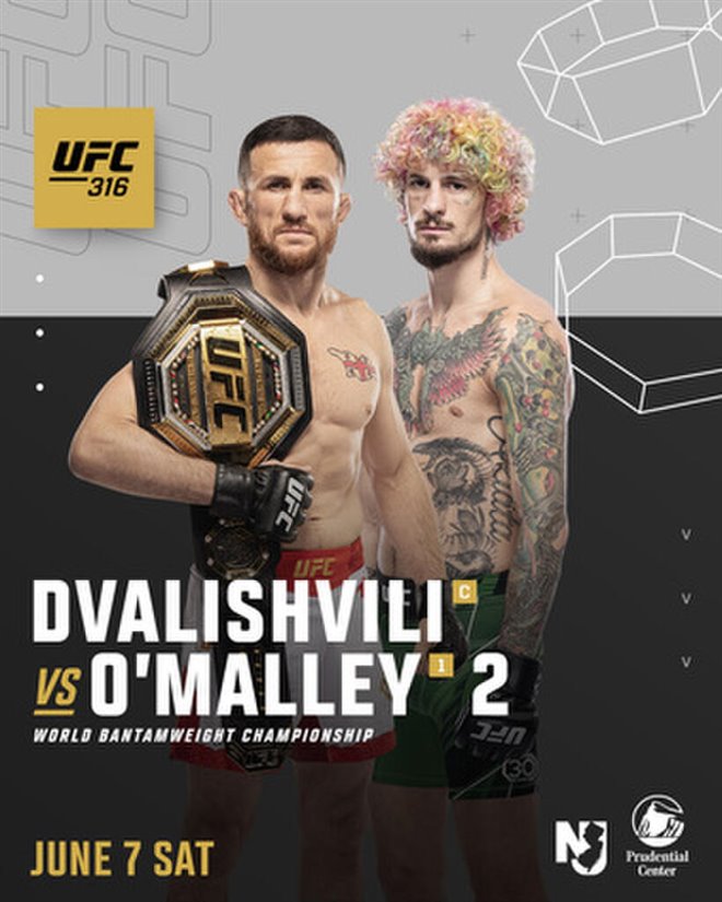 UFC 316: Dvalishvili vs. O'Malley 2 Large Poster