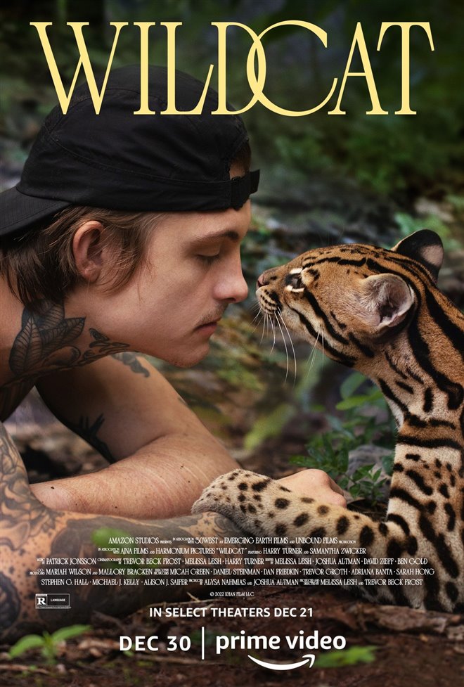 Wildcat (Prime Video) Large Poster