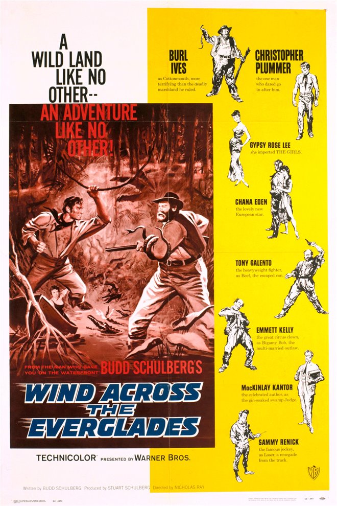 Wind Across the Everglades Large Poster
