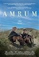 Amrum Poster