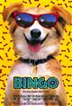 Bingo Poster