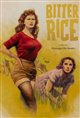 Bitter Rice poster