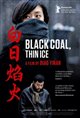 Black Coal, Thin Ice (Bai ri yan huo) Poster