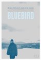 Bluebird Poster