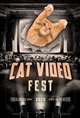 CatVideoFest 2025 poster