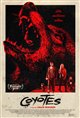 Coyotes Poster