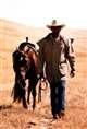Cutting Horse Poster
