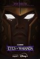Eyes of Wakanda (Disney+) Movie Poster