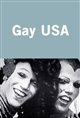 Gay USA Poster