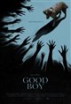 Good Boy Poster