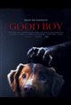 Good Boy Movie Poster
