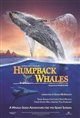 Humpback Whales Movie Poster