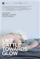 Like Cattle Towards Glow poster