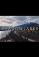 Meadowlarks Movie Poster