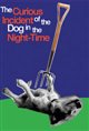 National Theatre Live: The Curious Incident of the Dog in the Night-Time Poster