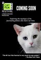 NY Cat Film Festival Program 1 Poster