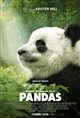 Pandas 3D poster